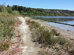Strunjan Nature Reserve