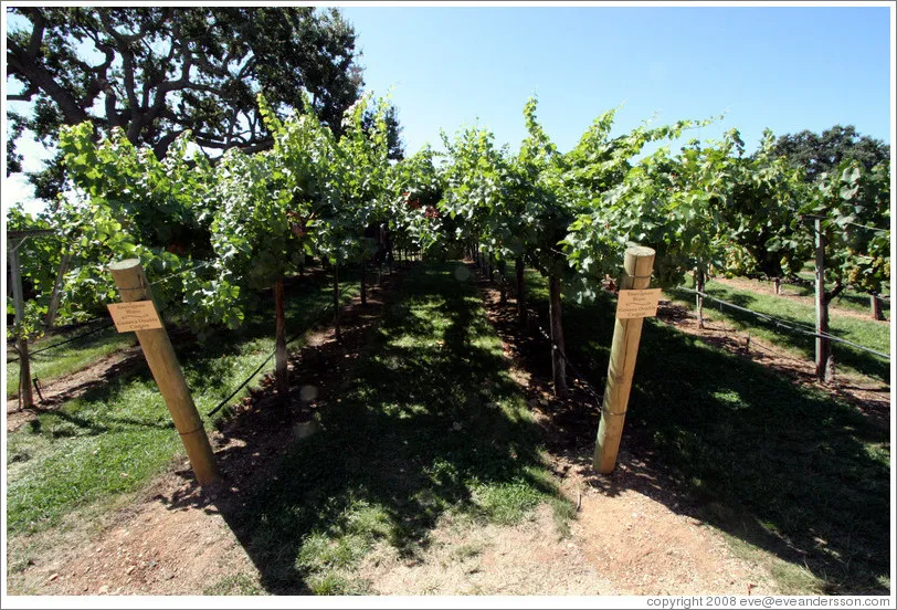 Studio Winery and Geneva Lake Distilling Co.