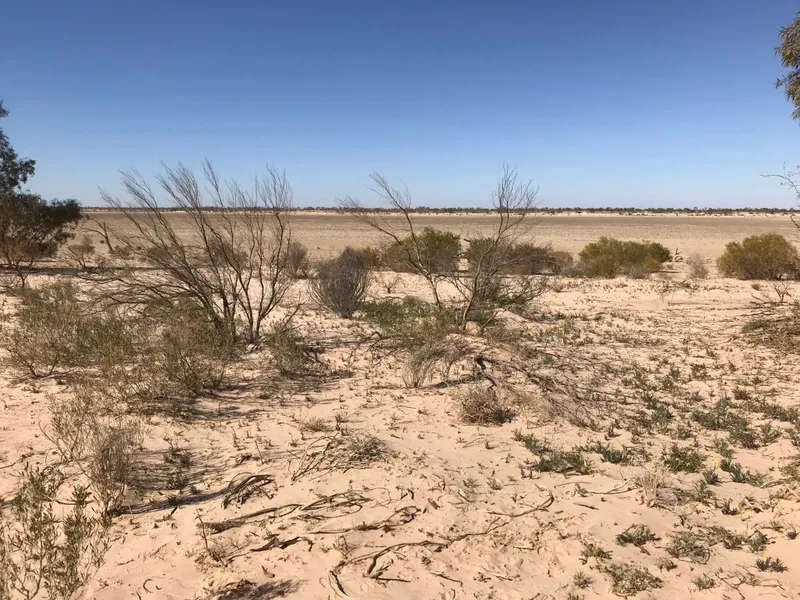Sturt Reserve
