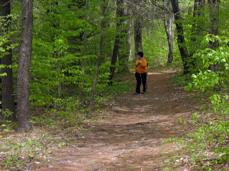Sugar Hollow Park