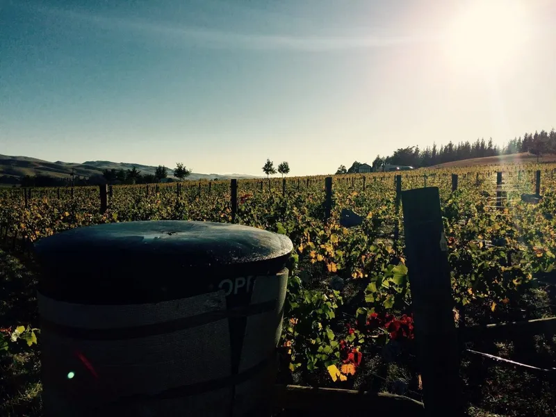 Sugar Ridge Winery