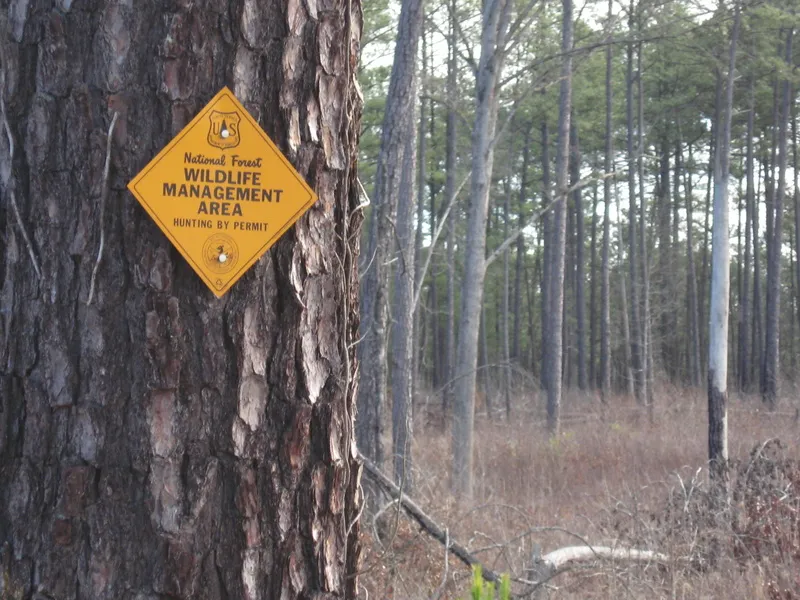 Sumter National Forest (Andrew Pickens Ranger District)