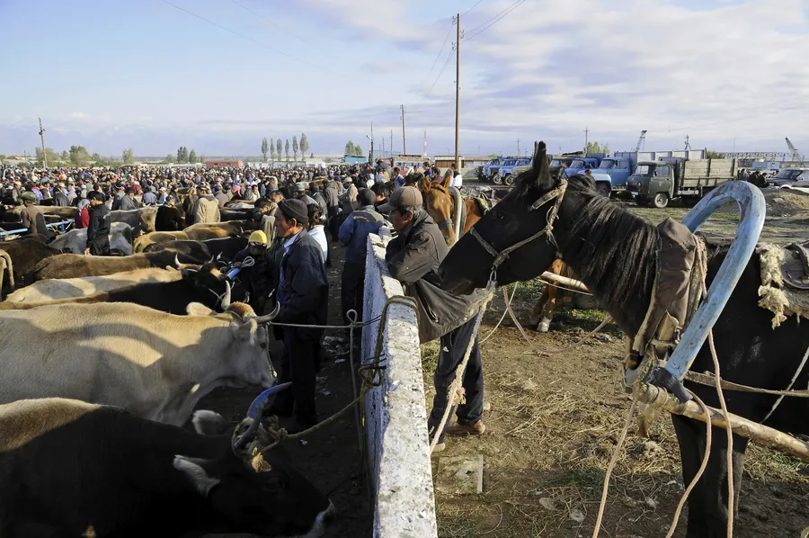 Sunday Animal Market