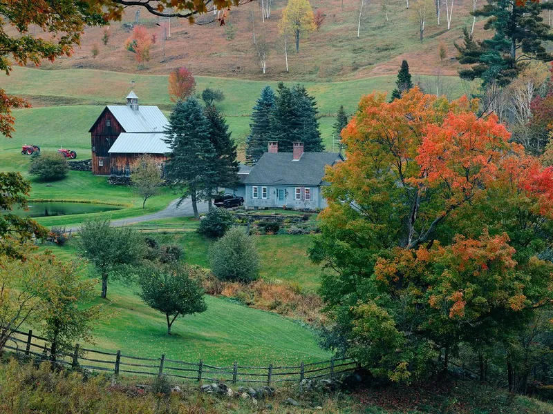 Sunfrost Farms