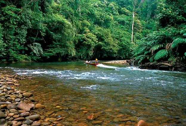 Sungai Temburong