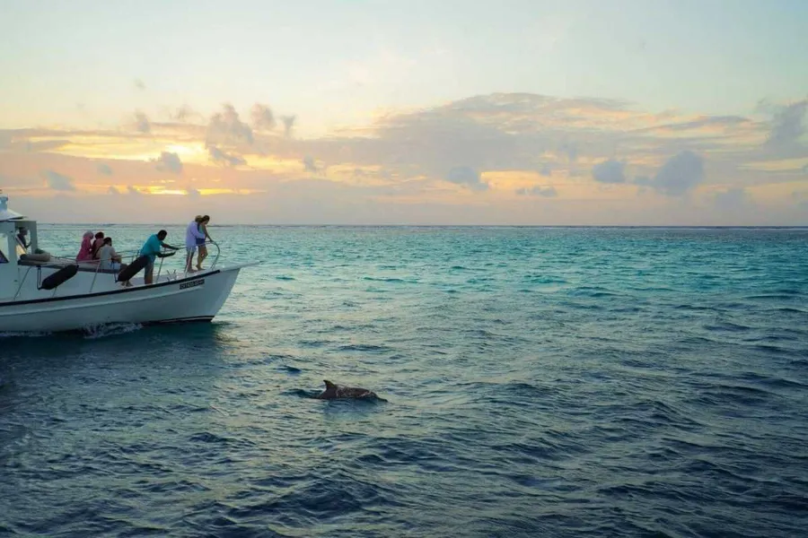 Sunset Cruise