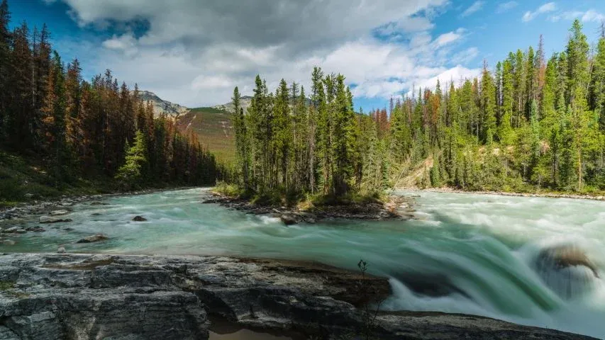 Sunwapta Falls