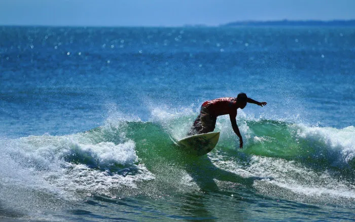Surf Discovery