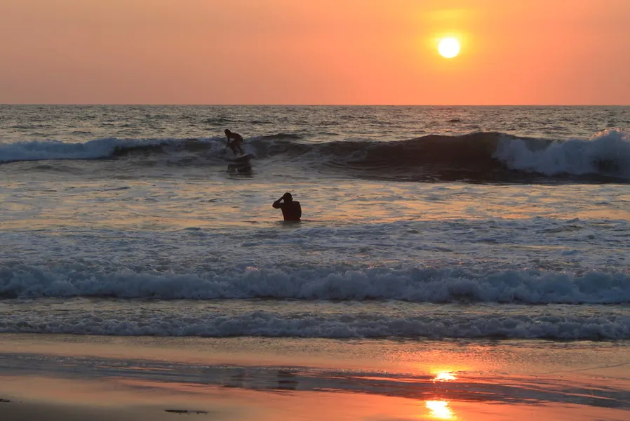 Surfing Lessons