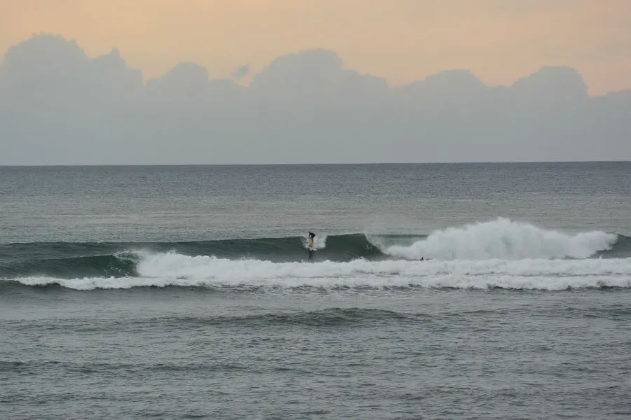 Surfing at Santa Catalina