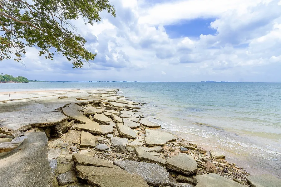 Susan Hoi (Shell Fossil Beach)