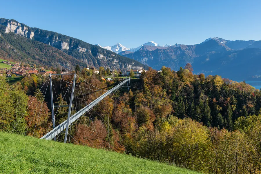 Suspension Bridge