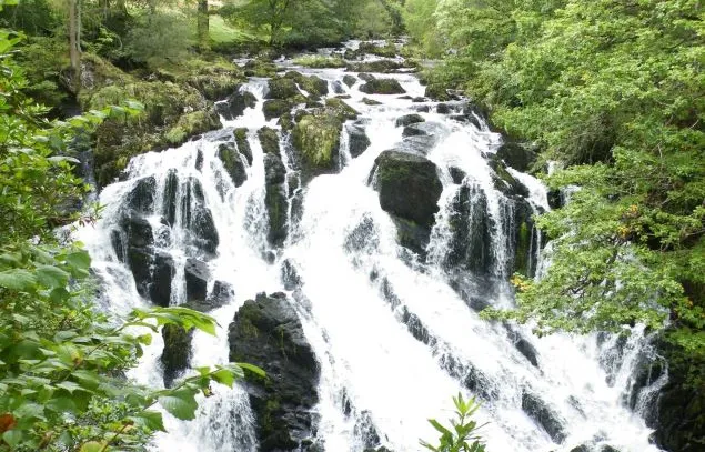 Swallow Falls