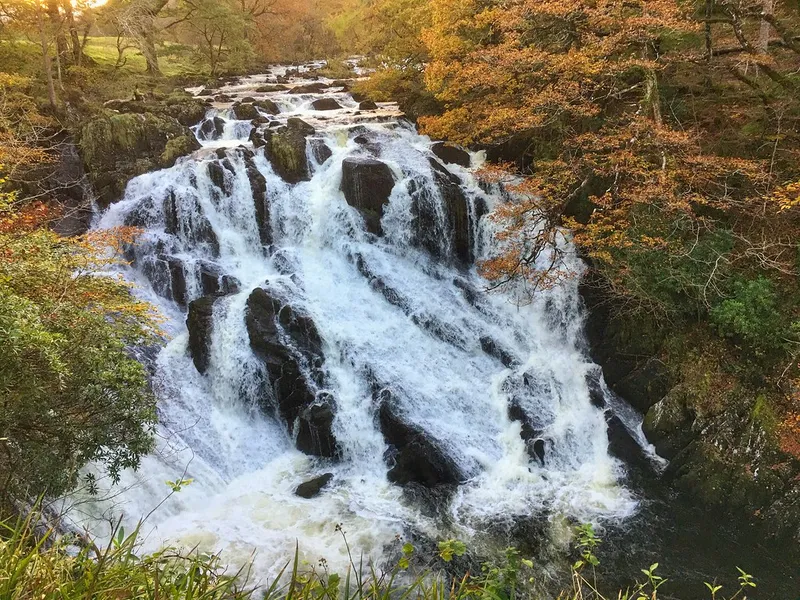 Swallow Falls
