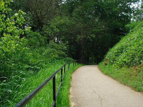 Swamp Rabbit Trail