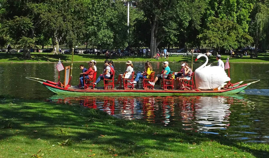 Swan Boats