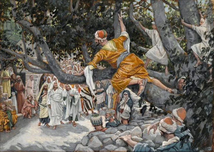 Sycamore Tree of Zacchaeus