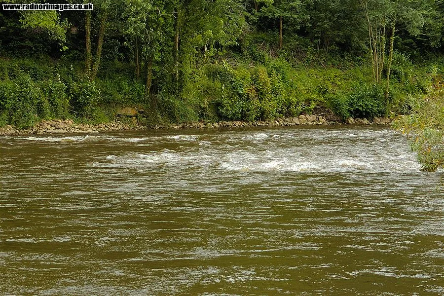 Symonds Yat Canopy Tours