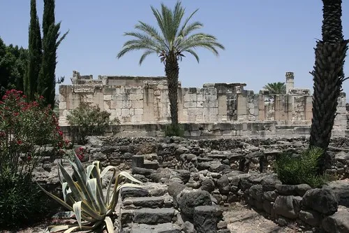 Synagogue Church