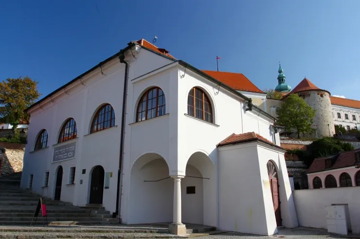 Synagogue of Mikulov