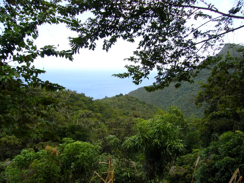 Syndicate Nature Trail