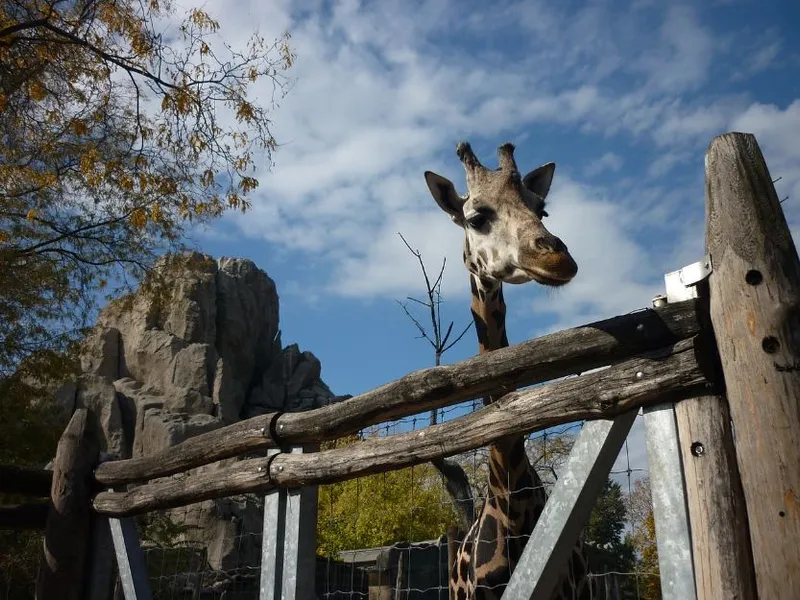 Szeged Zoo