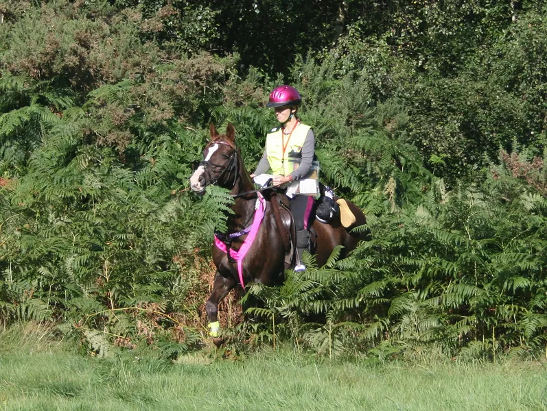 TREC Trail