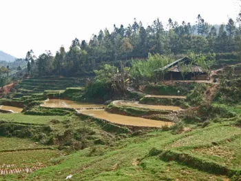 Ta Phin Village