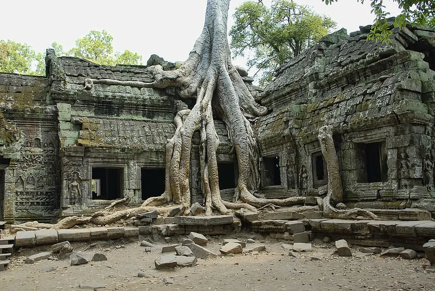 Ta Prohm Temple