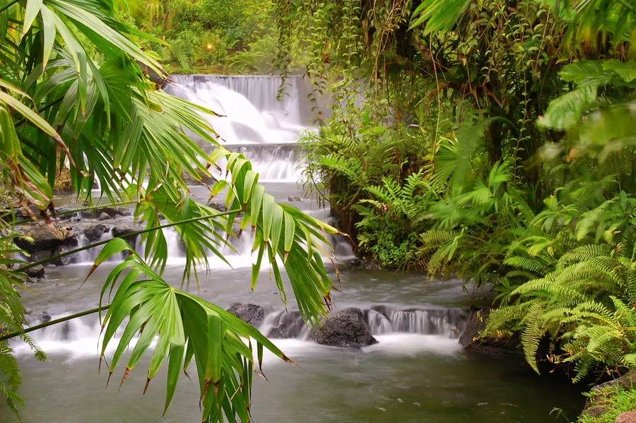 Tabacon Hot Springs