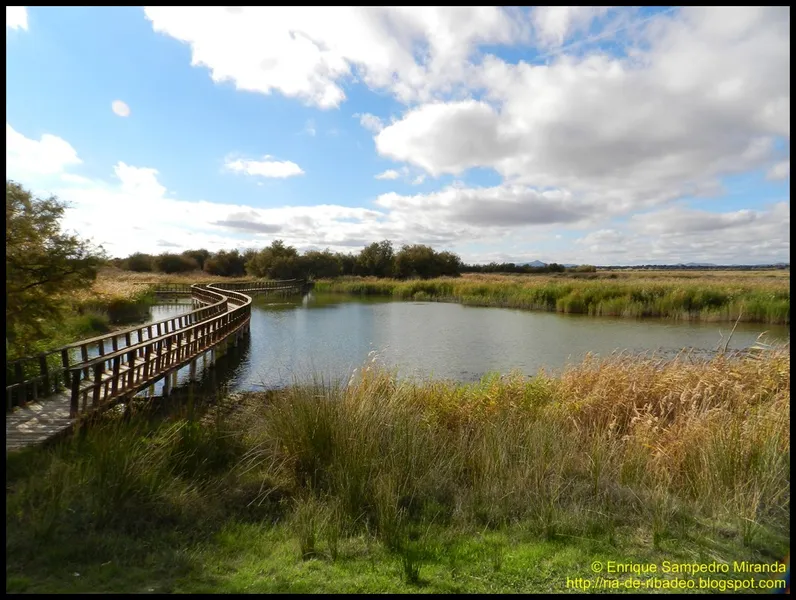 Tablas de Daimiel National Park