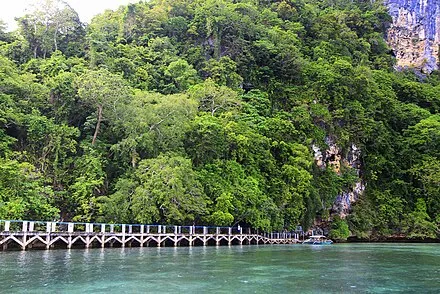 Tabon Caves