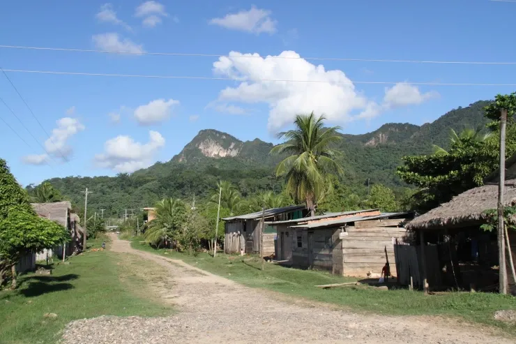 Tacana Community