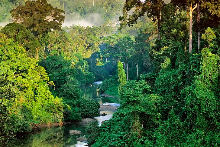 Tagupi Forest Reserve