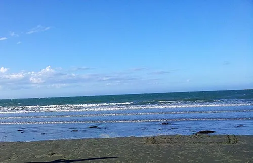 Tahunanui Beach