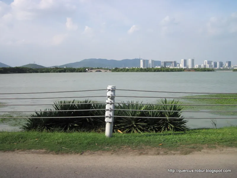 Taihu Lake (Lake Tai)