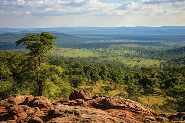Taita Hills Wildlife Sanctuary