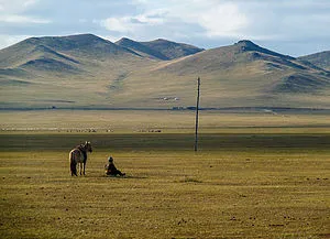 Takhi Wild Horse Reserve