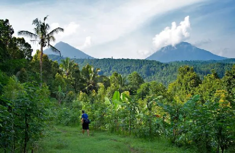 Tamblingan Jungle Trekking