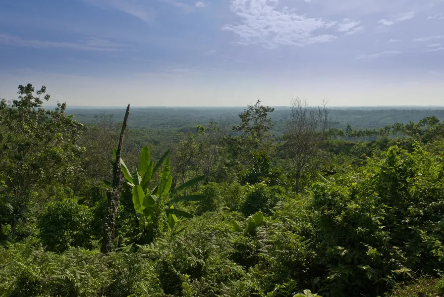 Tangkahan Village