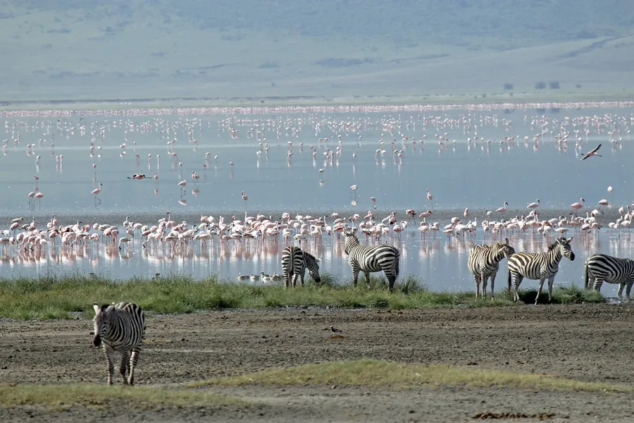 Tarangire National Park