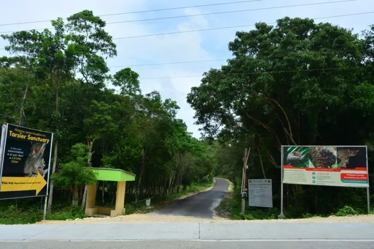 Tarsier Conservation Area