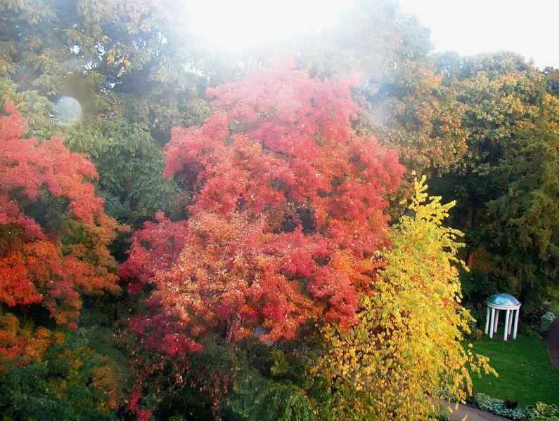 Tartu Botanical Gardens