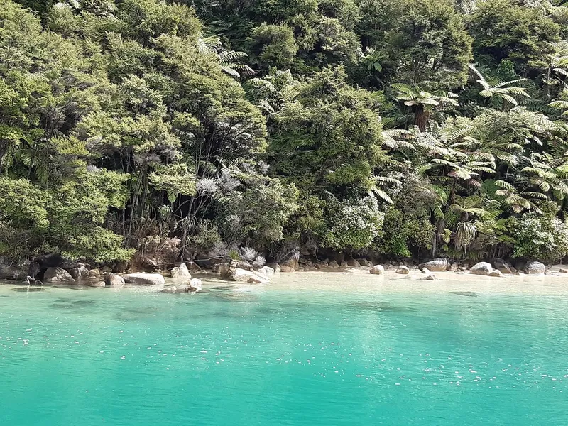 Tasman Bay