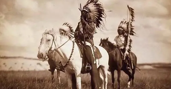 Tatanka: Story of the Bison