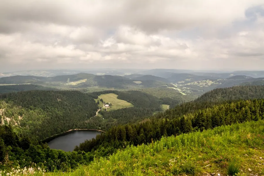 Tatzmania Löffingen