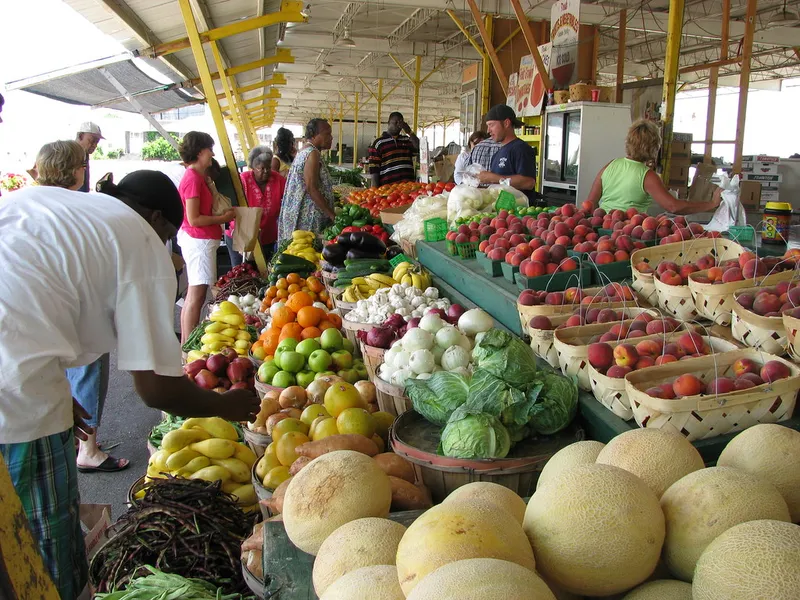 Tauranga Farmers Market