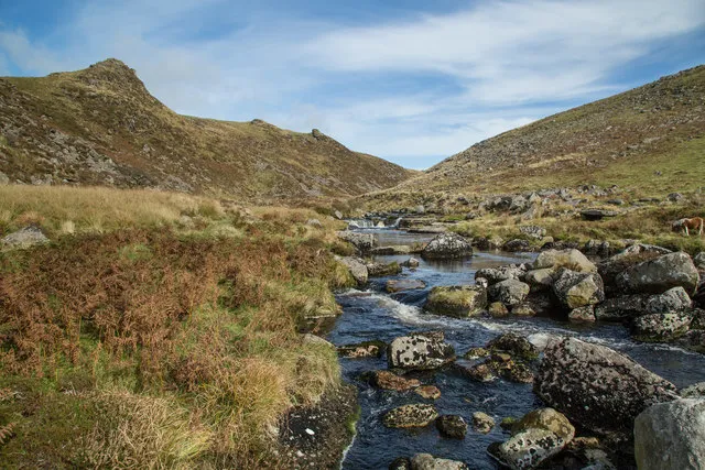 Tavy Cleave