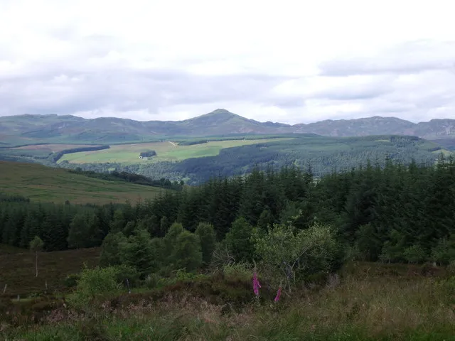 Tay Forest Park