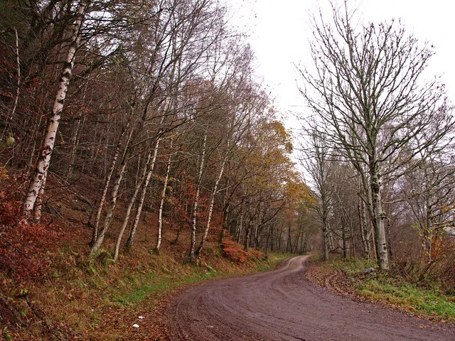 Tay Forest Park